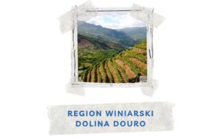 region winiarski dolina douro