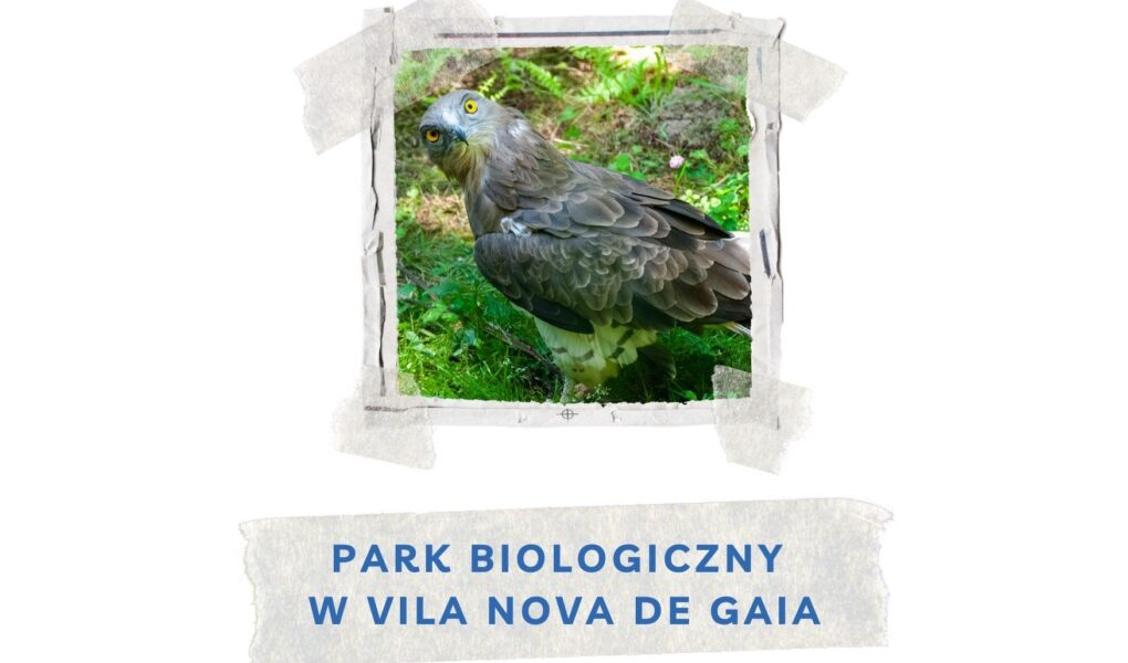 park biologiczny w vila nova de gaia