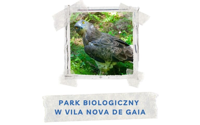 park biologiczny w vila nova de gaia
