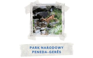 portugalski park narodowy peneda geres