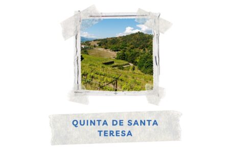 winnica biologiczna quinta de santa teresa w baiao vinho verde a&d wines