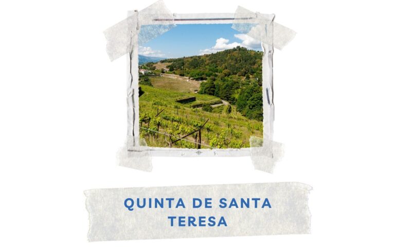 winnica biologiczna quinta de santa teresa w baiao vinho verde a&d wines