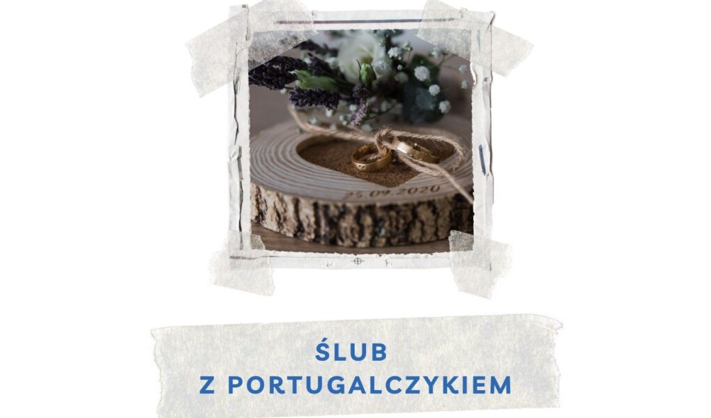slub z portugalczykiem w portugalii